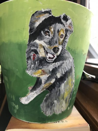 Jethro potted | Terra cotta pot. SOLD