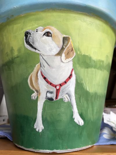 Ellie potted | Terra cotta pot. SOLD